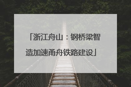 浙江舟山：钢桥梁智造加速甬舟铁路建设